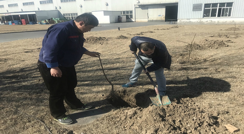 “貢獻力量，奉獻綠色”焊網(wǎng)公司舉辦2019年義務(wù)植樹活動